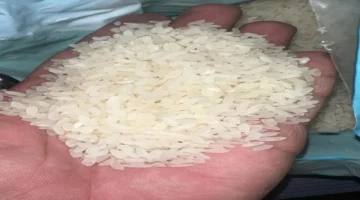 حملة رقابية مكثفة.. غذاء الأردن تفتش معامل الأرز والحبوب استعداداً لرمضان